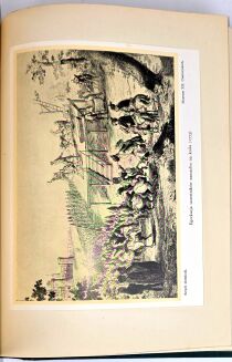 BYSTROŃ- DZIEJE OBYCZAJÓW W DAWNEJ POLSCE. WIEK XVI-XVIII setki ilustracji,  złota oprawa, luksusowy wariat oprawy - 9