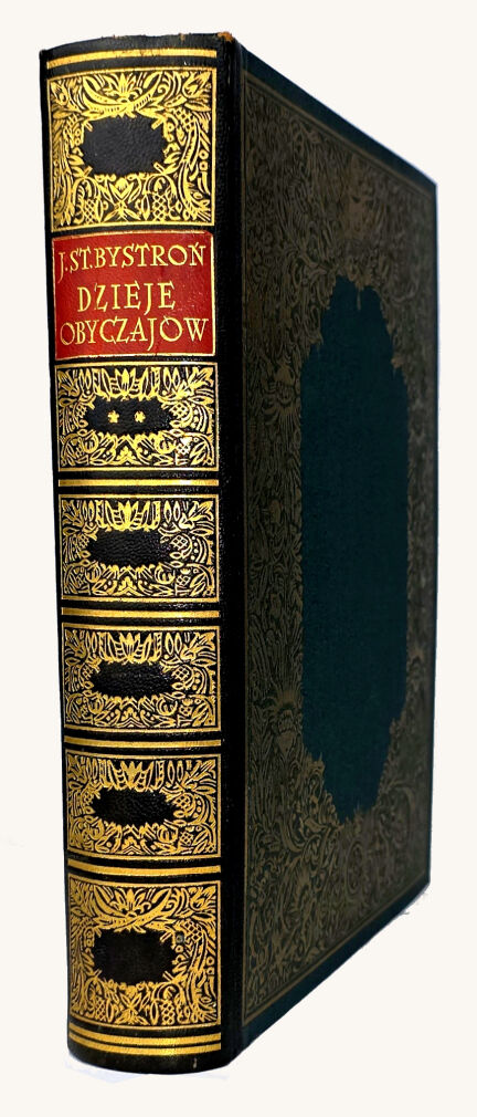 BYSTROŃ- DZIEJE OBYCZAJÓW W DAWNEJ POLSCE. WIEK XVI-XVIII setki ilustracji,  złota oprawa, luksusowy wariat oprawy