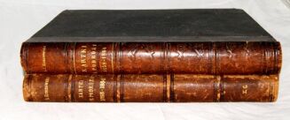 KRASZEWSKI- KARTKI Z PODRÓŻY 1858-1864 ROKU  I-II [komplet] - 2