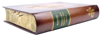 BARRIE - PRZYGODY PIOTRUSIA PANA oprawa artystyczna Warszawa 1938 - 4