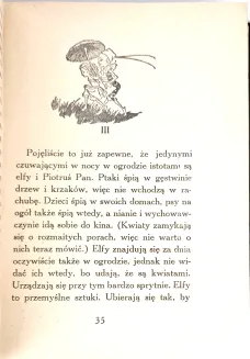 BARRIE - PRZYGODY PIOTRUSIA PANA oprawa artystyczna Warszawa 1938 - 11