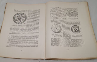 ZUBRZYCKI - CIEŚLICTWO POLSKIE Uzupełnienie Polskiego Budownictwa Drewnianego Lwów 1930r. - 6