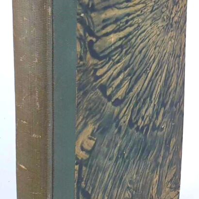 BUSZCZYŃSKI- ZNACZENIE DZIEJÓW POLSKI I WALK O NIEPODLEGŁOŚĆ wyd. 1882