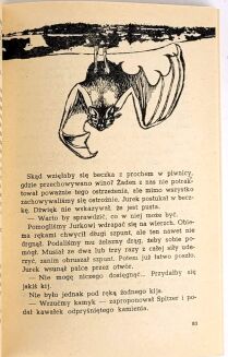 TATAY - KARABINY I GOŁĘBIE 1963 Klub siedmiu przygód - 5