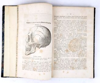 WITOWSKI - SZKÓŁKA POWSZEDNIA DLA MŁODZIEŻY UMIEJĄCEJ CZYTAĆ I PO PROSTU RACHOWAĆ t. 1-2 [komplet] ola - 4