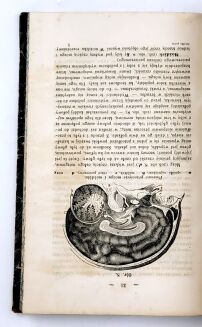 WITOWSKI - SZKÓŁKA POWSZEDNIA DLA MŁODZIEŻY UMIEJĄCEJ CZYTAĆ I PO PROSTU RACHOWAĆ t. 1-2 [komplet] ola - 5