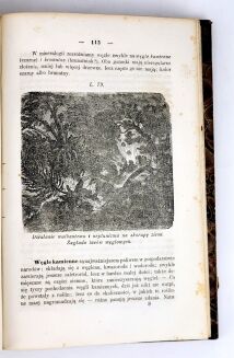 WITOWSKI - SZKÓŁKA POWSZEDNIA DLA MŁODZIEŻY UMIEJĄCEJ CZYTAĆ I PO PROSTU RACHOWAĆ t. 1-2 [komplet] ola - 7