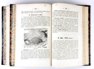 WITOWSKI - SZKÓŁKA POWSZEDNIA DLA MŁODZIEŻY UMIEJĄCEJ CZYTAĆ I PO PROSTU RACHOWAĆ t. 1-2 [komplet] ola - 8