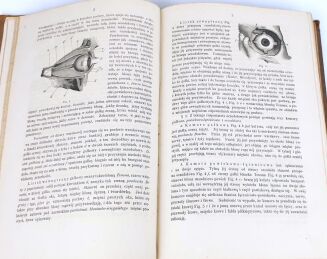[PIONIERSKA PRACA OJCA POLSKIEJ OKULISTYKI] SZOKALSKI- WYKŁAD CHORÓB PRZYRZĄDU WZROKOWEGO U CZŁOWIEKA t. 1 1869 - 4