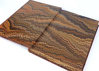 JANKOWSKI- KWIATY NASZYCH MIESZKAŃ 1887r. ilustracje - 3