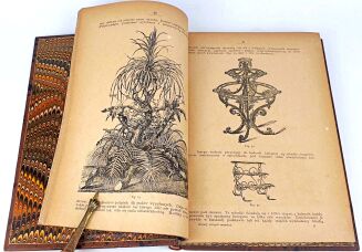 JANKOWSKI- KWIATY NASZYCH MIESZKAŃ 1887r. ilustracje - 5