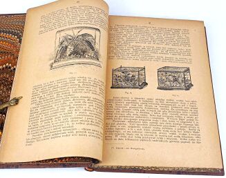 JANKOWSKI- KWIATY NASZYCH MIESZKAŃ 1887r. ilustracje - 6