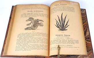 JANKOWSKI- KWIATY NASZYCH MIESZKAŃ 1887r. ilustracje - 9