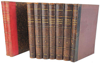 BARTOSZEWICZ- DZIEŁA.HISTORJA PIERWOTNA POLSKI i inne 9wol. - 2