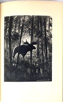 WEYSSENHOFF - PUSZCZA- il. MACKIEWICZ wyd. 1930r. - 7