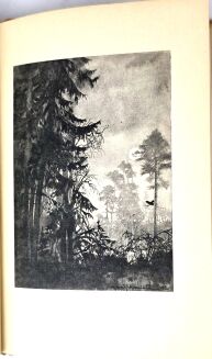 WEYSSENHOFF - PUSZCZA- il. MACKIEWICZ wyd. 1930r. - 8