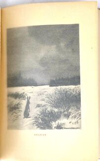 WEYSSENHOFF - PUSZCZA- il. MACKIEWICZ wyd. 1930r. - 9