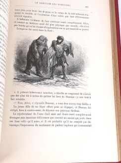 COOPER - OSTATNI MOHIKANIN/ LE DERNIER DES MOHICANS  ryciny Andriolli - 15