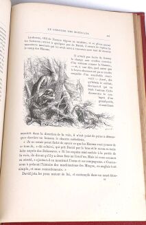 COOPER - OSTATNI MOHIKANIN/ LE DERNIER DES MOHICANS  ryciny Andriolli - 13