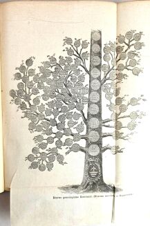 BARTOSZEWICZ; SOKOŁOWSKI- POWSTANIA POLSKIE t. I-III ilustracje - 22