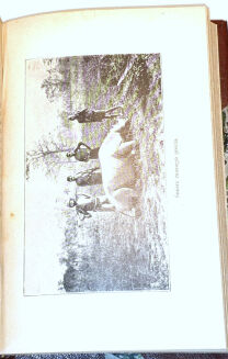 FOA- POLOWANIE NA GRUBEGO ZWIERZA W AFRYCE t. I-II - 6