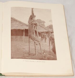 SAPIEHA - LASY ITURI Wspomnienia z podróży wyd. 1928r.  ilustracje STAN - 4