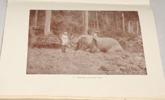 SAPIEHA - LASY ITURI Wspomnienia z podróży wyd. 1928r.  ilustracje STAN - 9