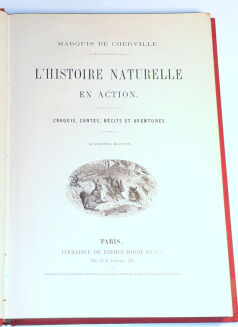 DE CHERVILLE - HISTOIRE NATURELLE EN ACTION CROQUIS CONTES wyd. 1880 - 3