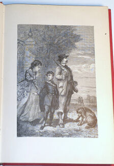 DE CHERVILLE - HISTOIRE NATURELLE EN ACTION CROQUIS CONTES wyd. 1880 - 4