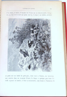 DE CHERVILLE - HISTOIRE NATURELLE EN ACTION CROQUIS CONTES wyd. 1880 - 6