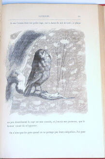 DE CHERVILLE - HISTOIRE NATURELLE EN ACTION CROQUIS CONTES wyd. 1880 - 8