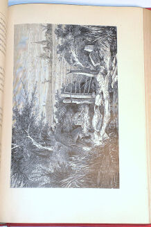 DE CHERVILLE - HISTOIRE NATURELLE EN ACTION CROQUIS CONTES wyd. 1880 - 10