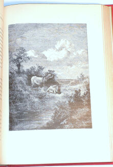 DE CHERVILLE - HISTOIRE NATURELLE EN ACTION CROQUIS CONTES wyd. 1880 - 11