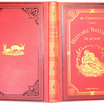 DE CHERVILLE - HISTOIRE NATURELLE EN ACTION CROQUIS CONTES wyd. 1880
