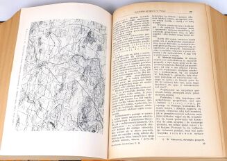 ŁEMPICKI- ENCYKLOPEDJA WYCHOWANIA 4wol. 1933-37 - 9