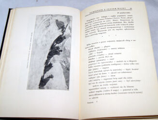 BENITO MUSSOLINI - PAMIĘTNIK Z CZASÓW WOJNY ilustracje OPRAWA - 5