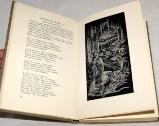 POMIAN-POŻERSKA- NAJLONOWE SKRZYDŁA ilustr. drzeworytami Mrożewskiego - 5