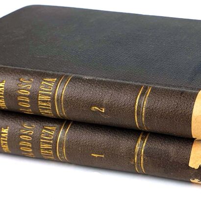 TRETIAK- MŁODOŚĆ MICKIEWICZA. Życie i poezya T.1-2 1898