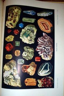 WIELKA PRZYRODA ILUSTROWANA t. I-IV [KOMPLET] OPRAWA WYDAWNICZA - 10