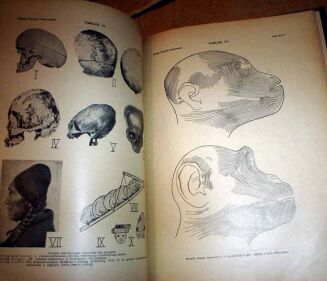 WIELKA PRZYRODA ILUSTROWANA t. I-IV [KOMPLET] OPRAWA WYDAWNICZA - 15