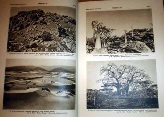 WIELKA PRZYRODA ILUSTROWANA t. I-IV [KOMPLET] OPRAWA WYDAWNICZA - 4