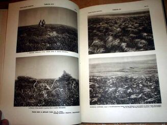 WIELKA PRZYRODA ILUSTROWANA t. I-IV [KOMPLET] OPRAWA WYDAWNICZA - 6