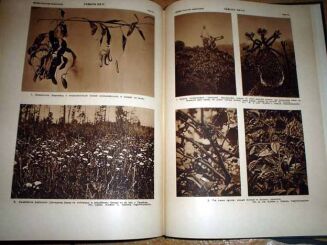 WIELKA PRZYRODA ILUSTROWANA t. I-IV [KOMPLET] OPRAWA WYDAWNICZA - 7