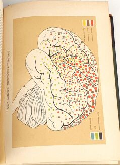 [CZŁOWIEK] ЧЕЛОВЕК T. 1-2. Petersburg 1903 - 15