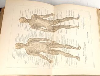 [CZŁOWIEK] ЧЕЛОВЕК T. 1-2. Petersburg 1903 - 16