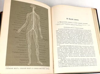 [CZŁOWIEK] ЧЕЛОВЕК T. 1-2. Petersburg 1903 - 17