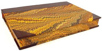 FILLIS - ZASADY UJEŻDŻANIA I JAZDY KONNEJ ilustracje - 2