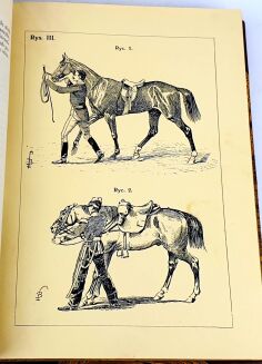 FILLIS - ZASADY UJEŻDŻANIA I JAZDY KONNEJ ilustracje - 5