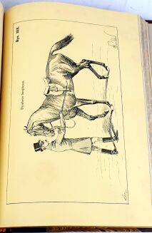 FILLIS - ZASADY UJEŻDŻANIA I JAZDY KONNEJ ilustracje - 7