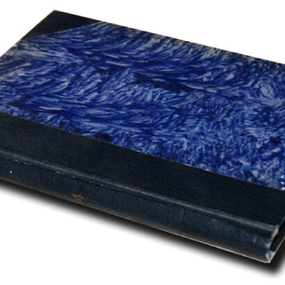 GURTLER- NASZE SKRZYDLATE DRAPIEŻNIKI wyd.1925